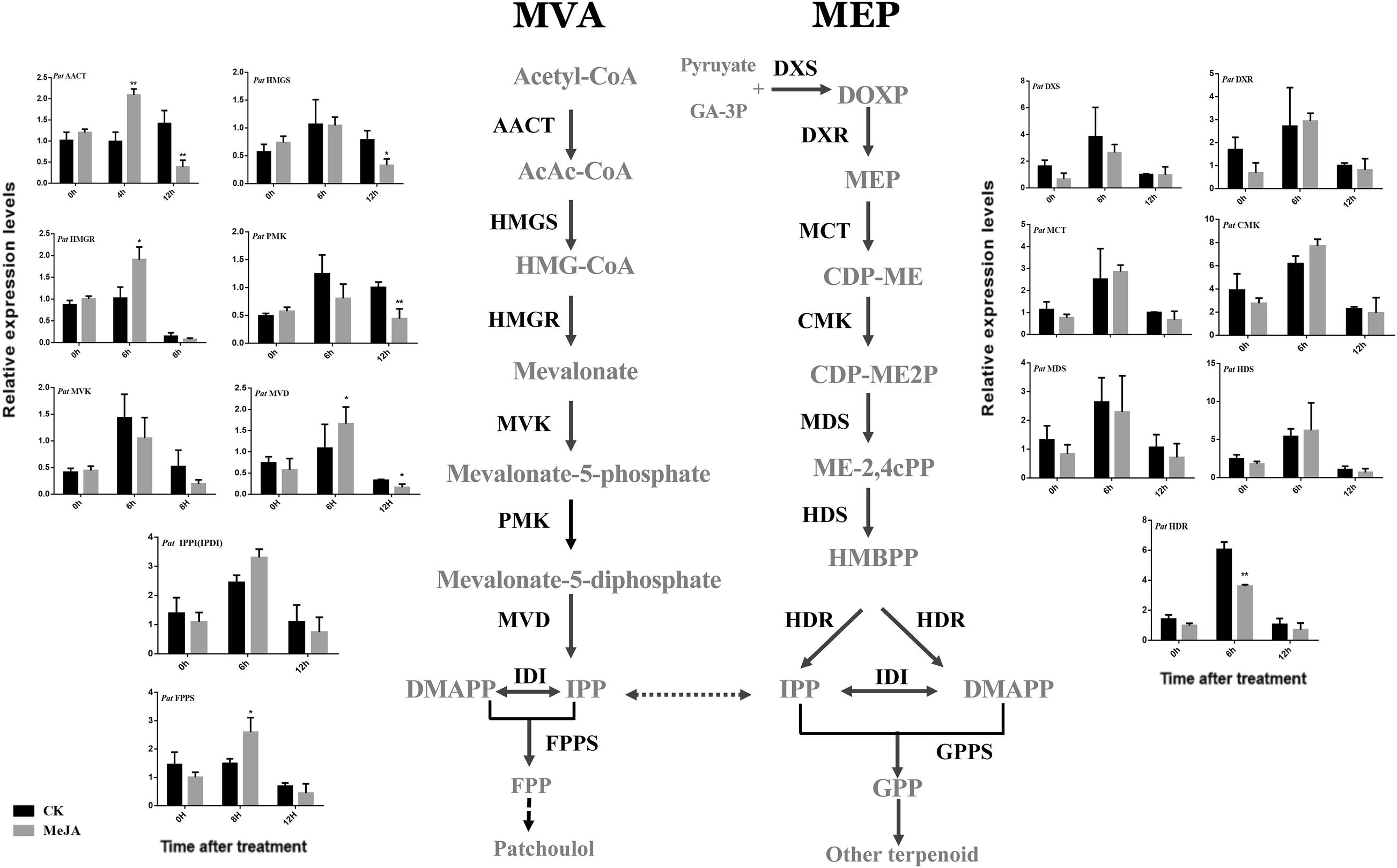 Fig. 4