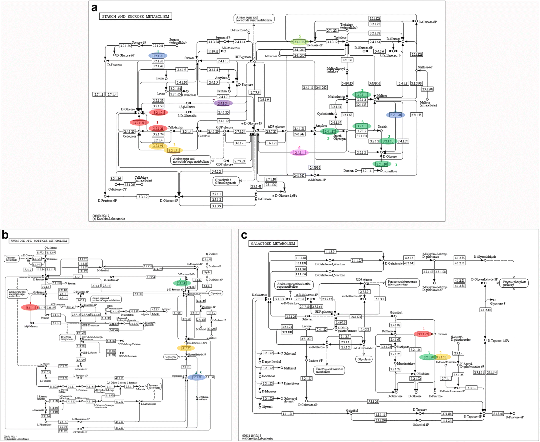 Fig. 5