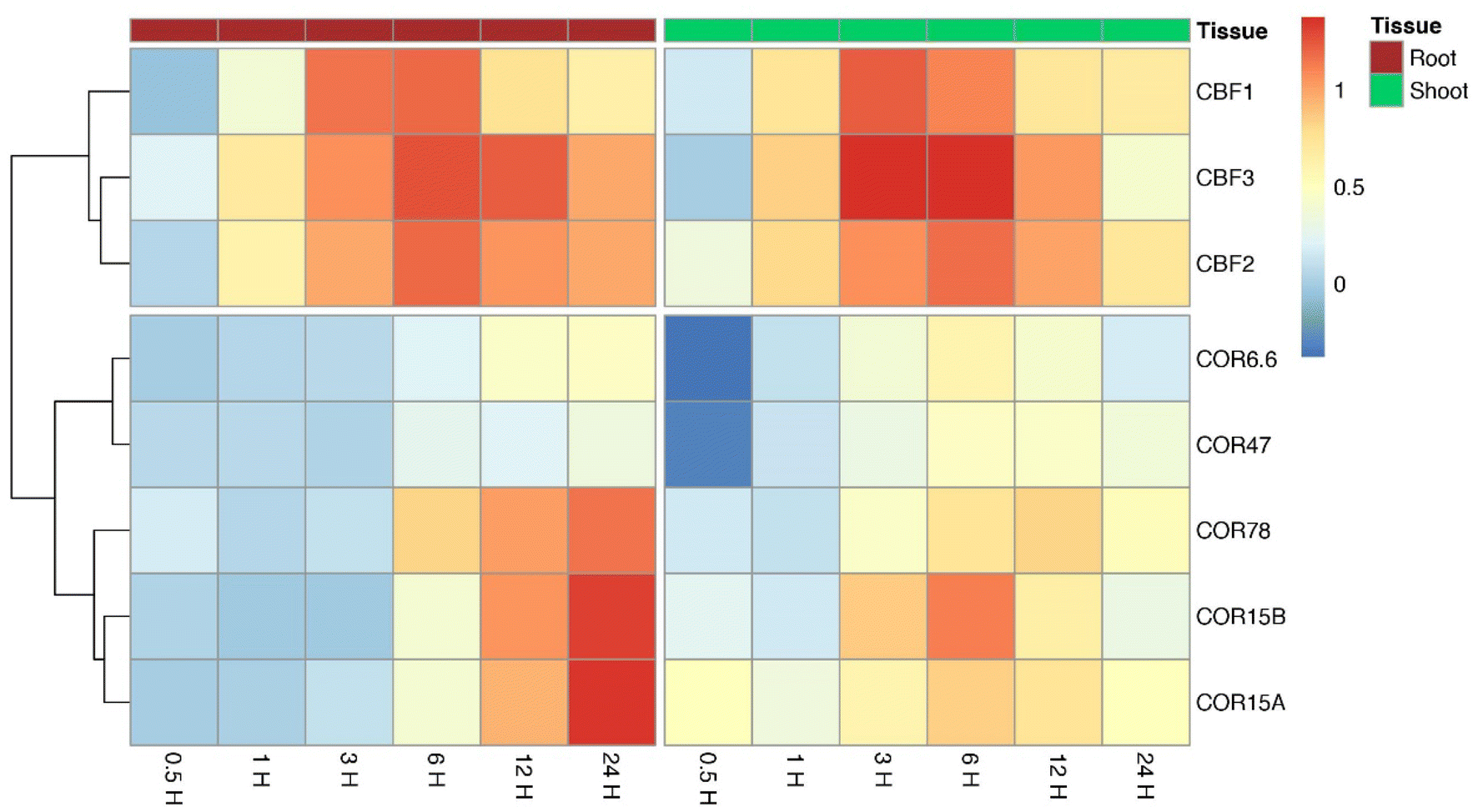 Fig. 6