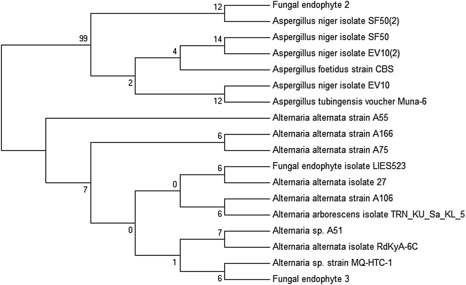 Fig. 2