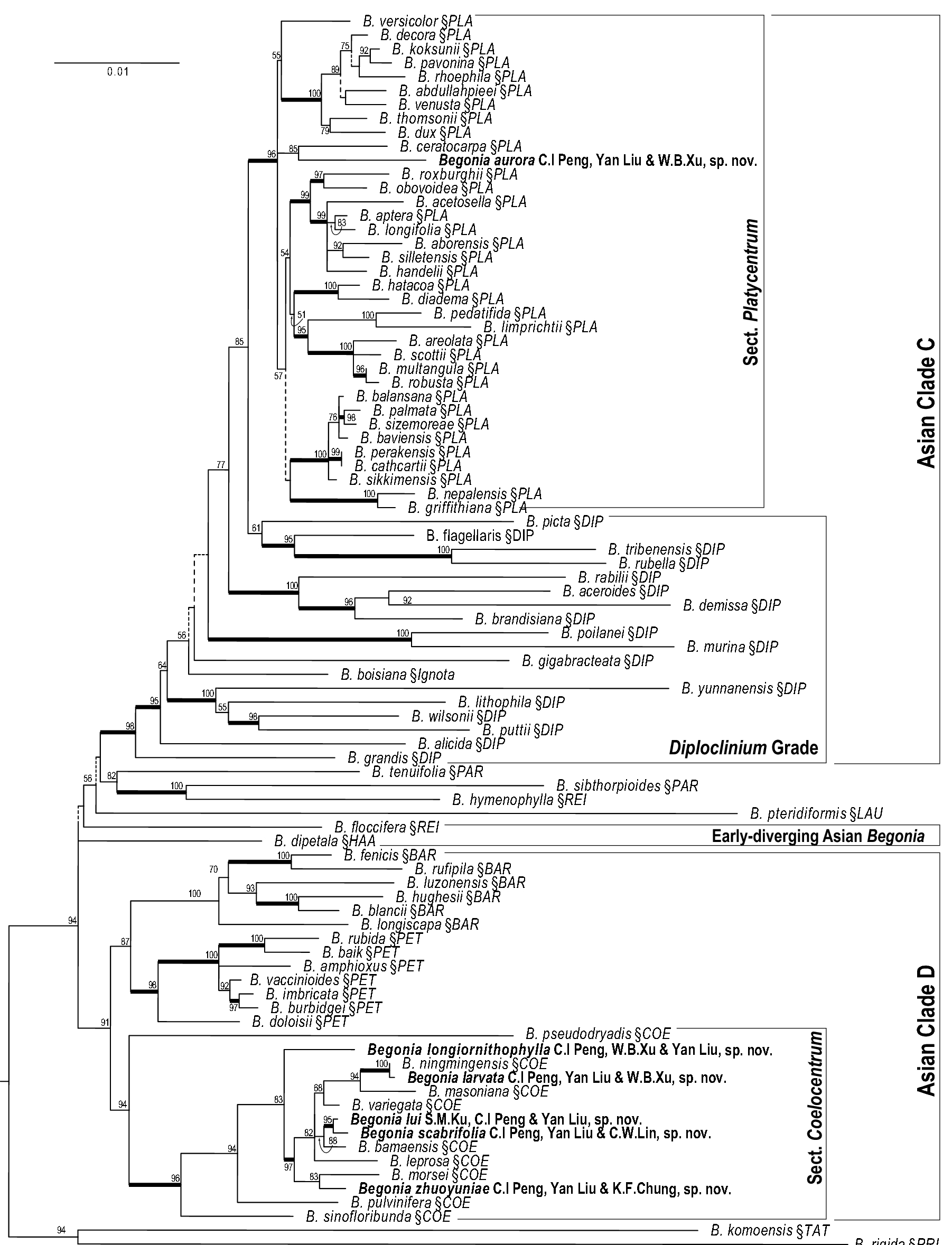 Fig. 2