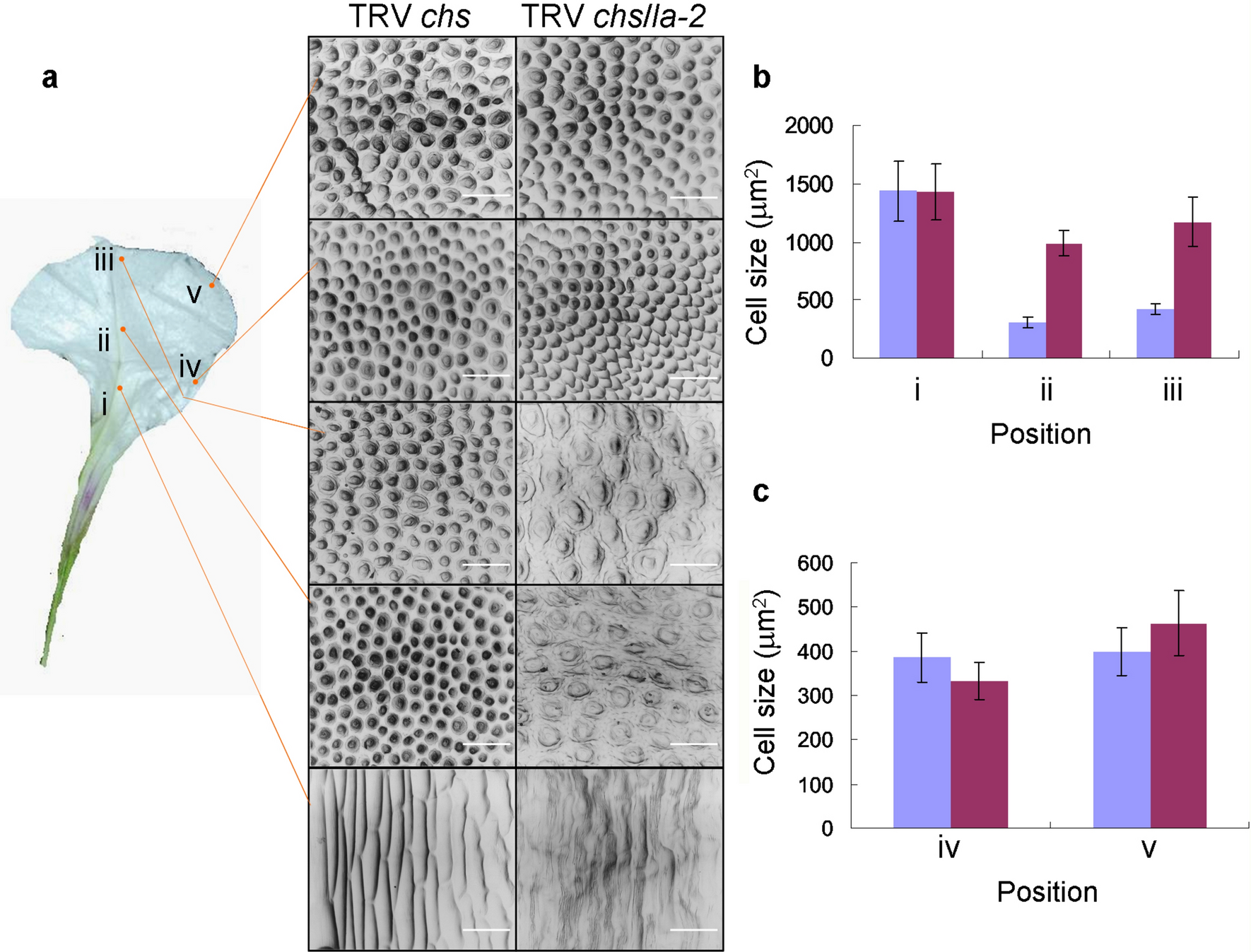 Fig. 4