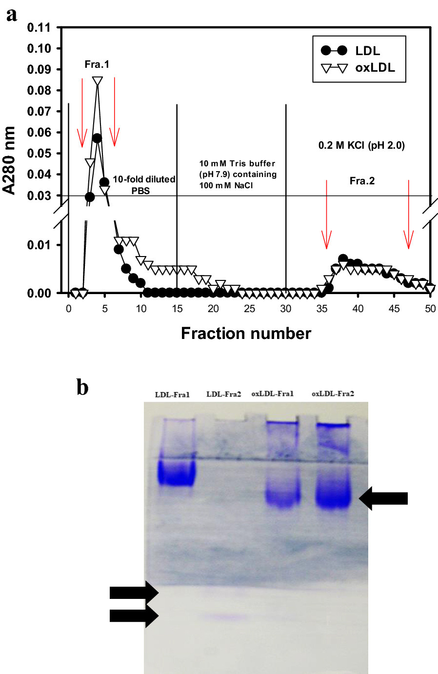 Fig. 3