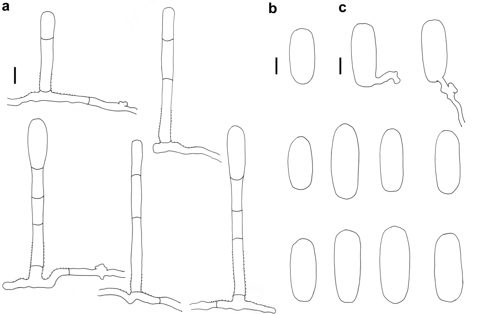 Fig. 4