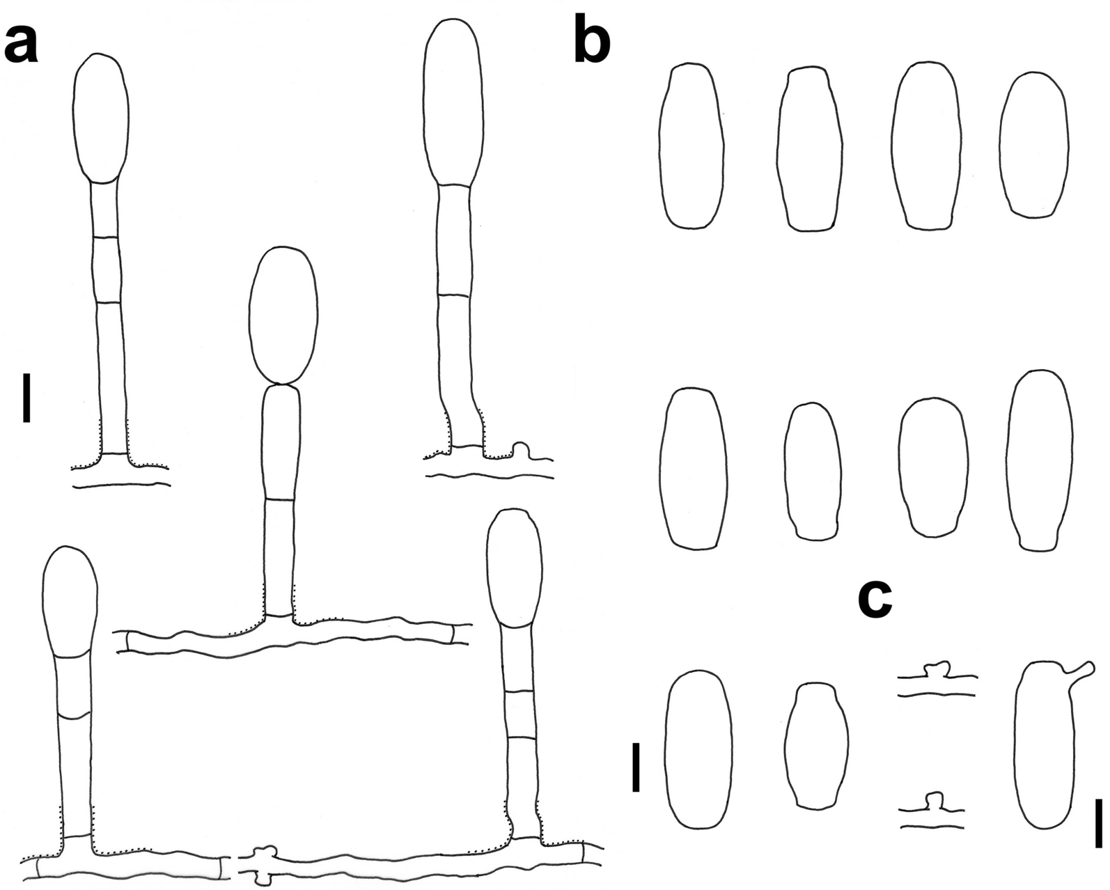 Fig. 6