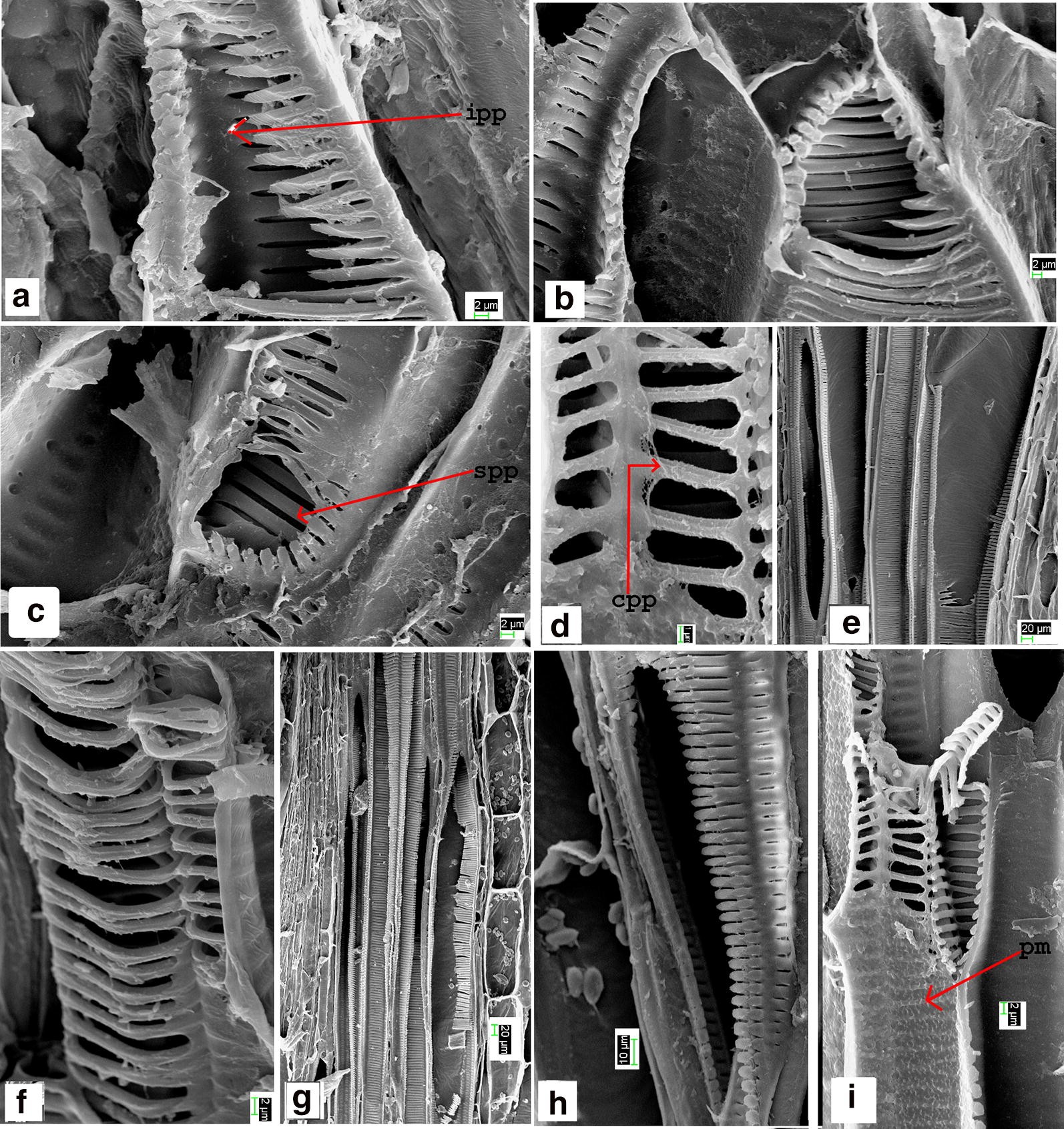 Fig. 4