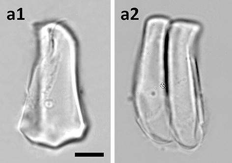 Fig. 11