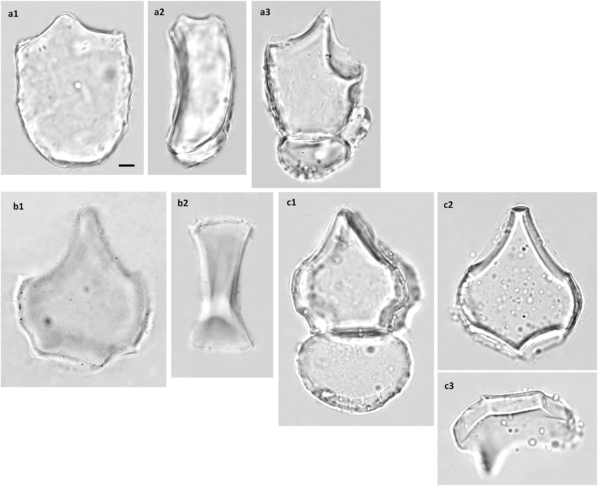 Fig. 12