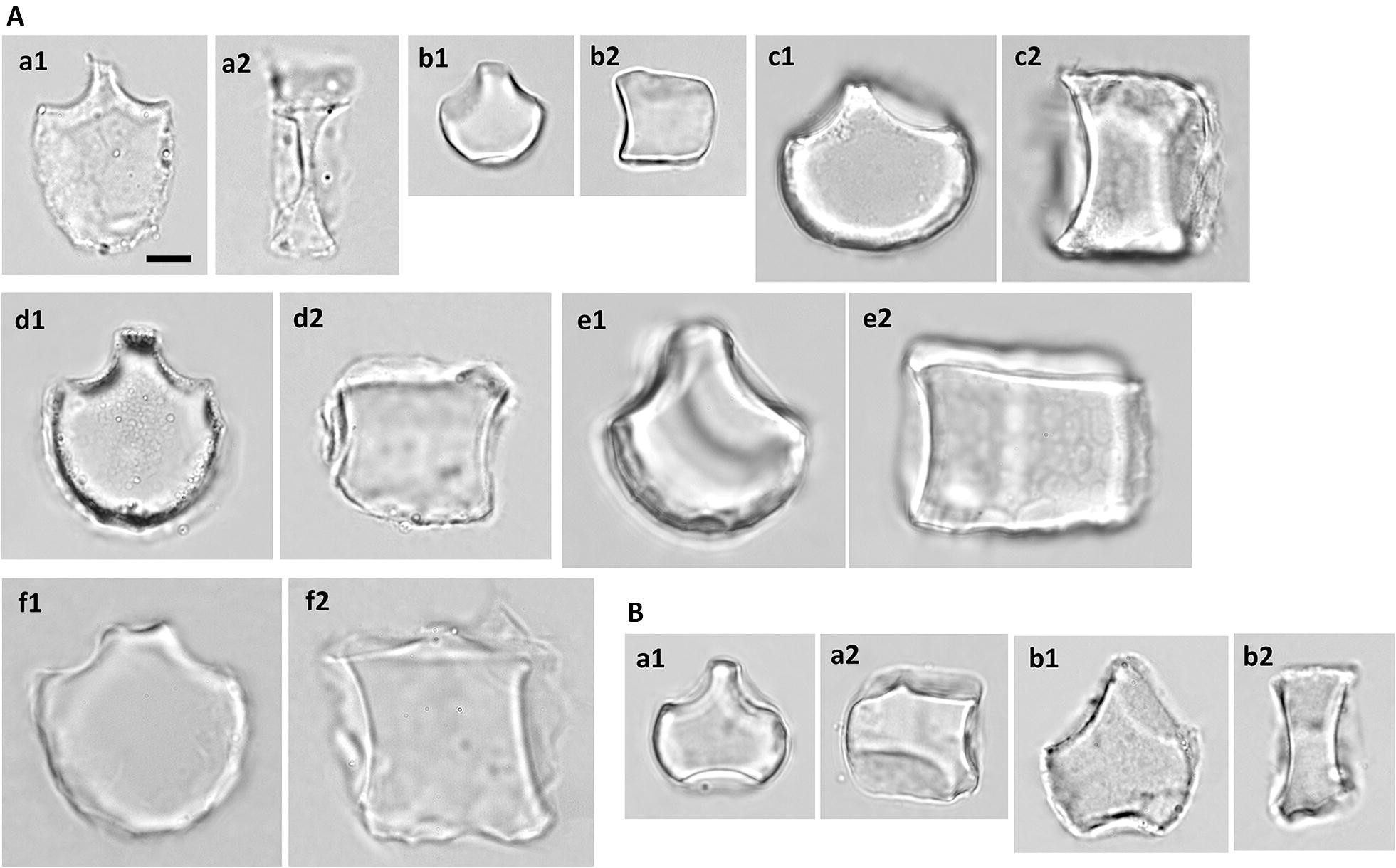 Fig. 13