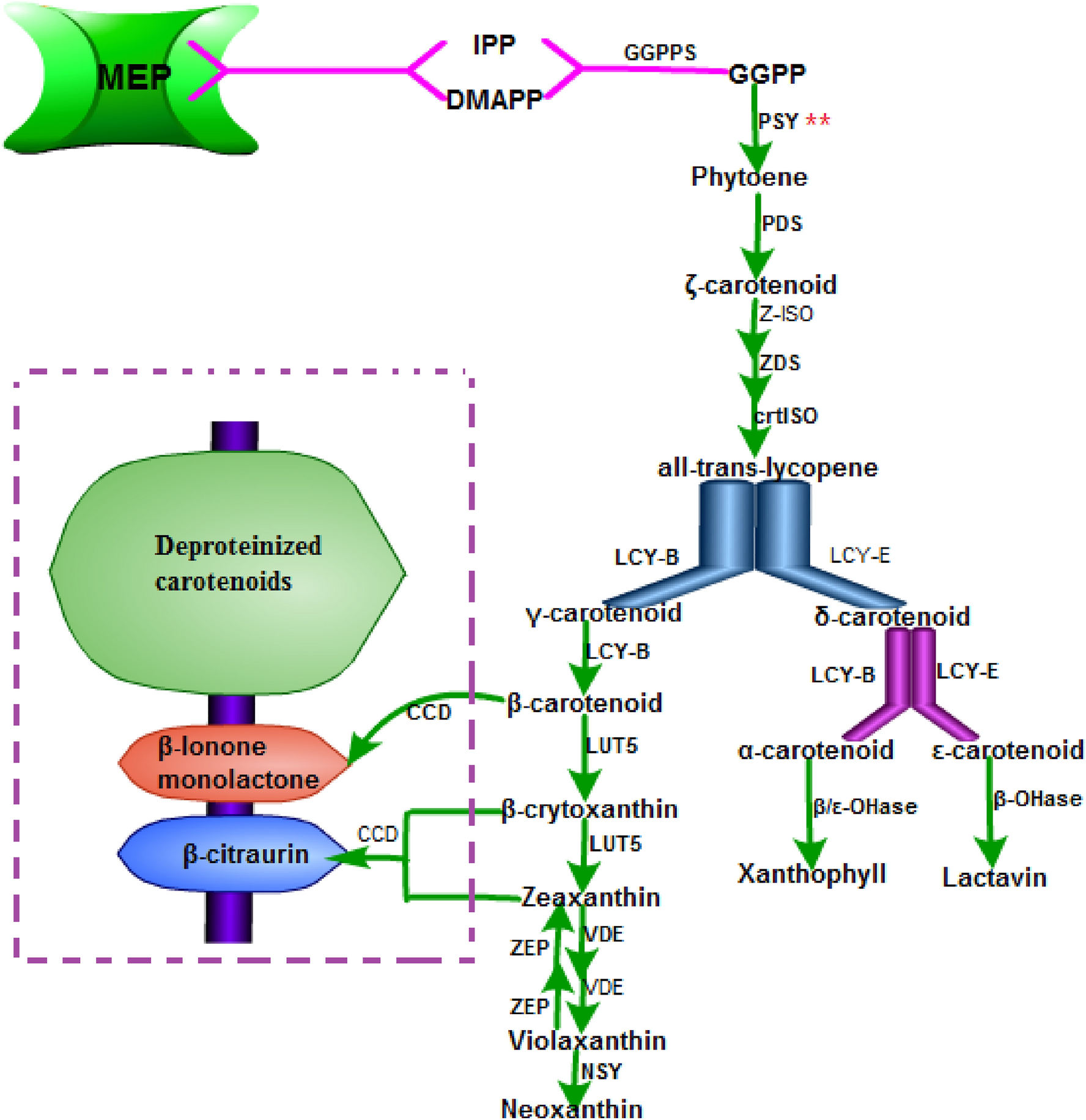 Fig. 2