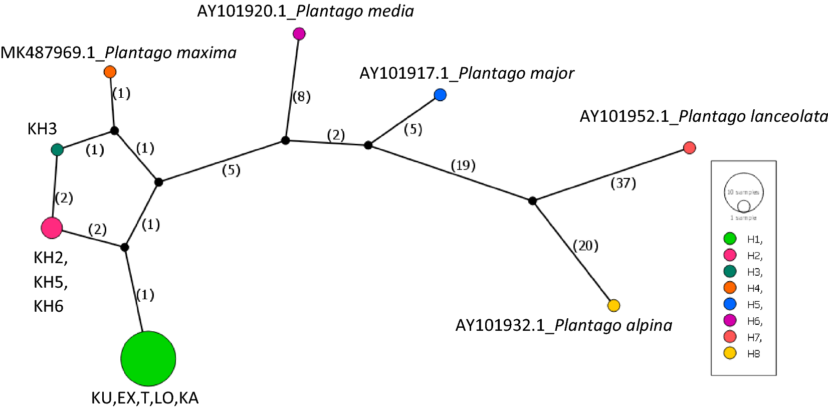 Fig. 11