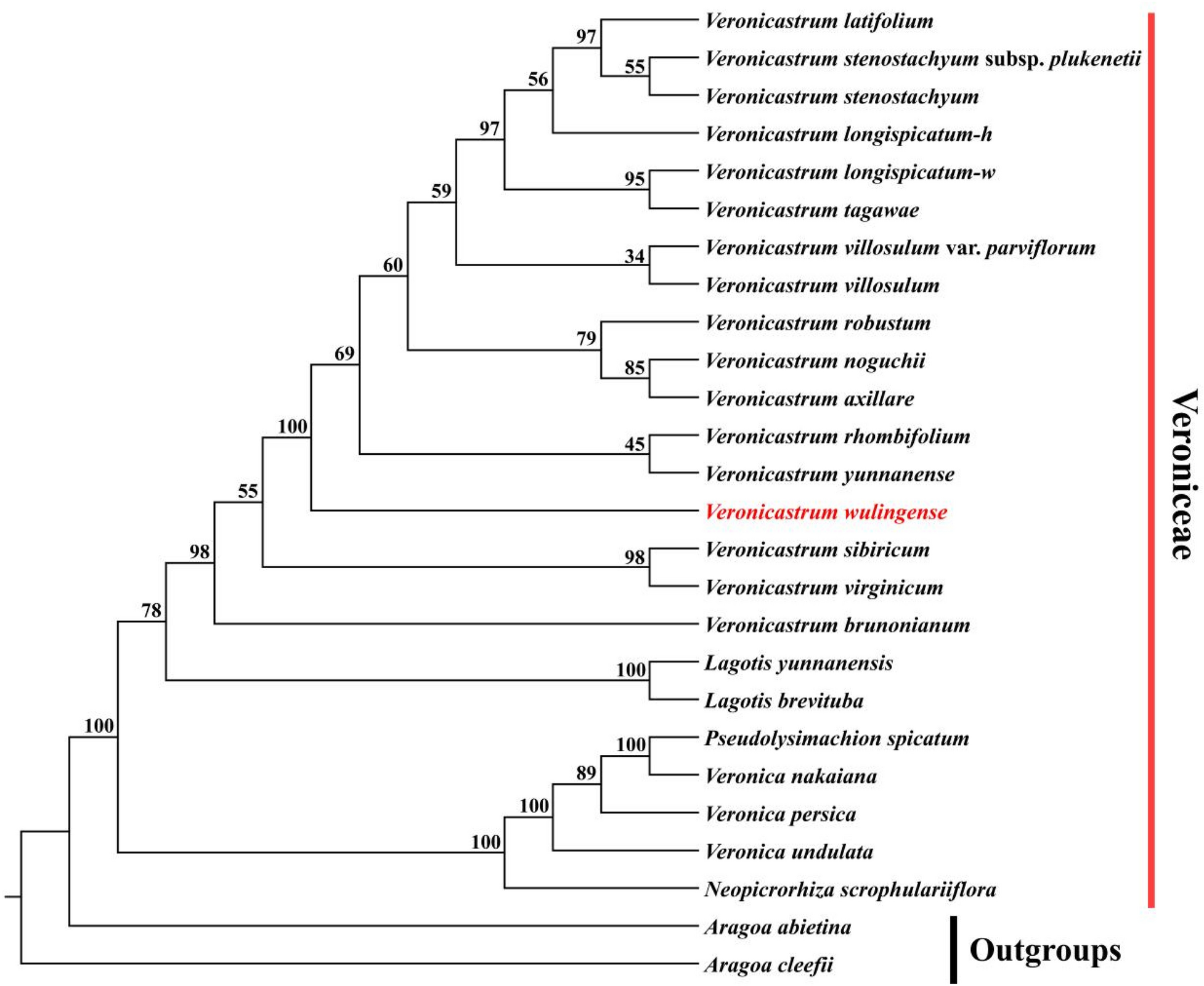 Fig. 4