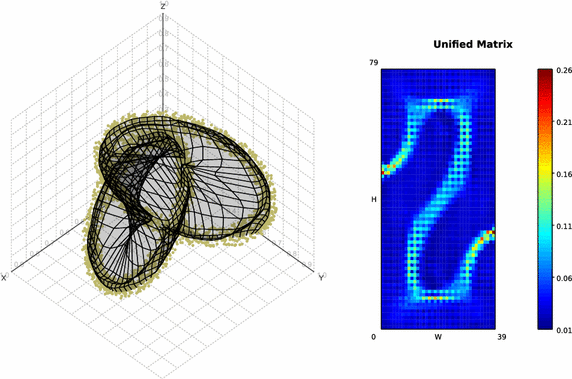 Fig. 10