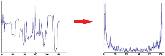 Fig. 21