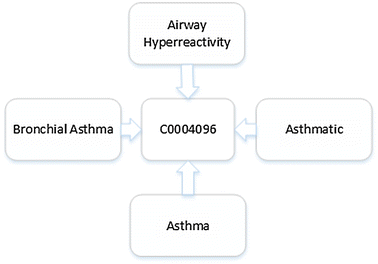 Fig. 1