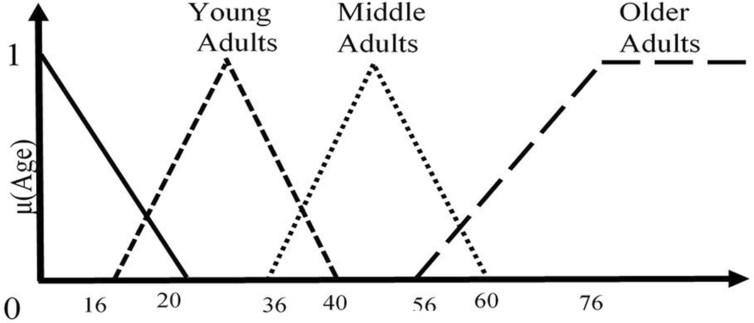 Fig. 1