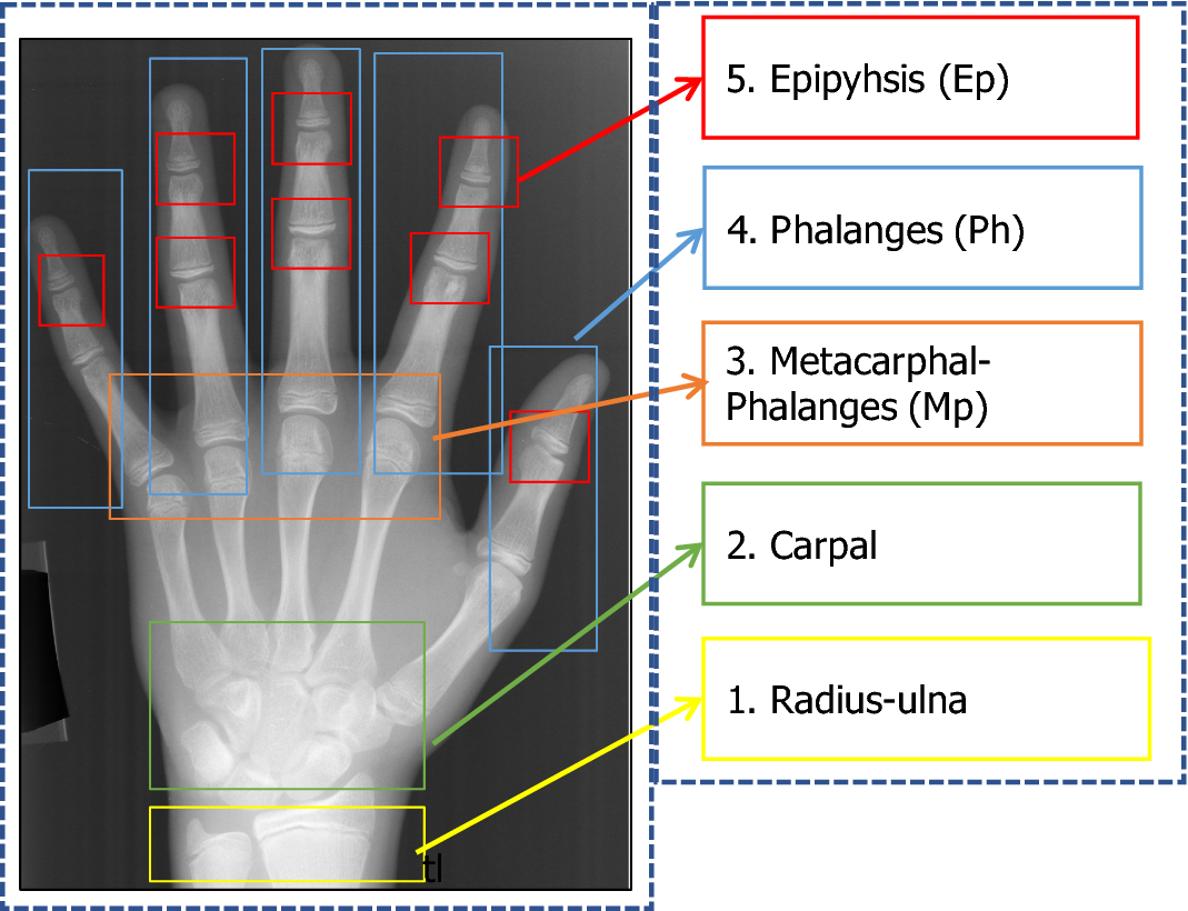 Fig. 1