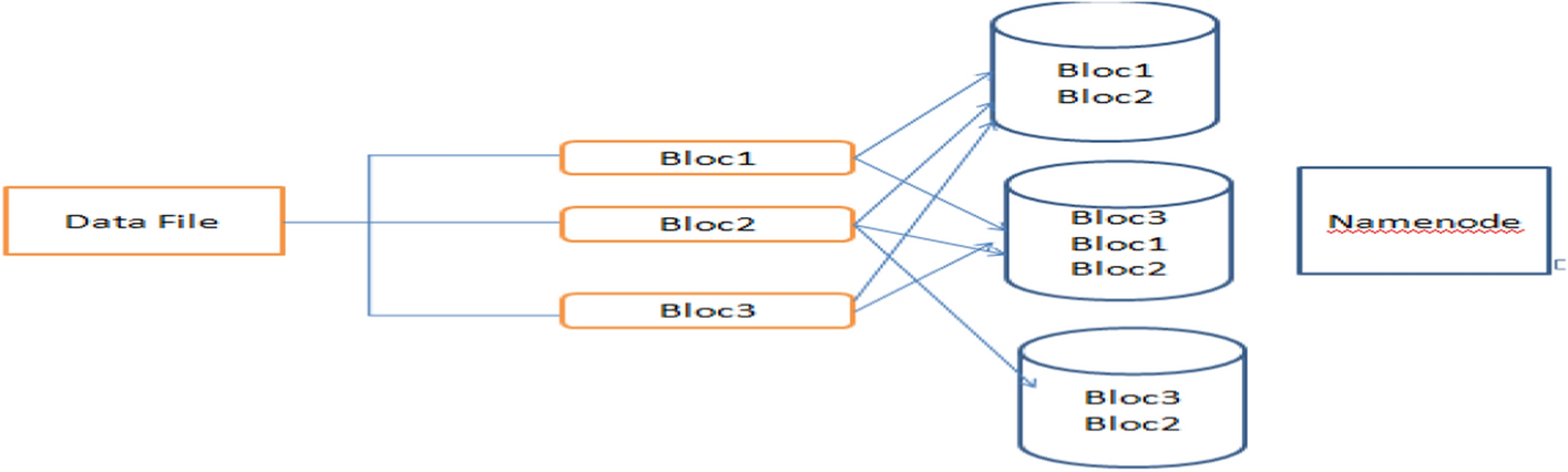 Fig. 1