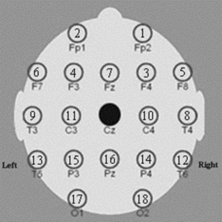 Fig. 1