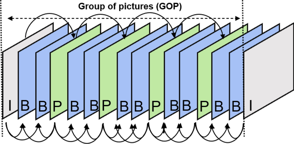 Fig. 1