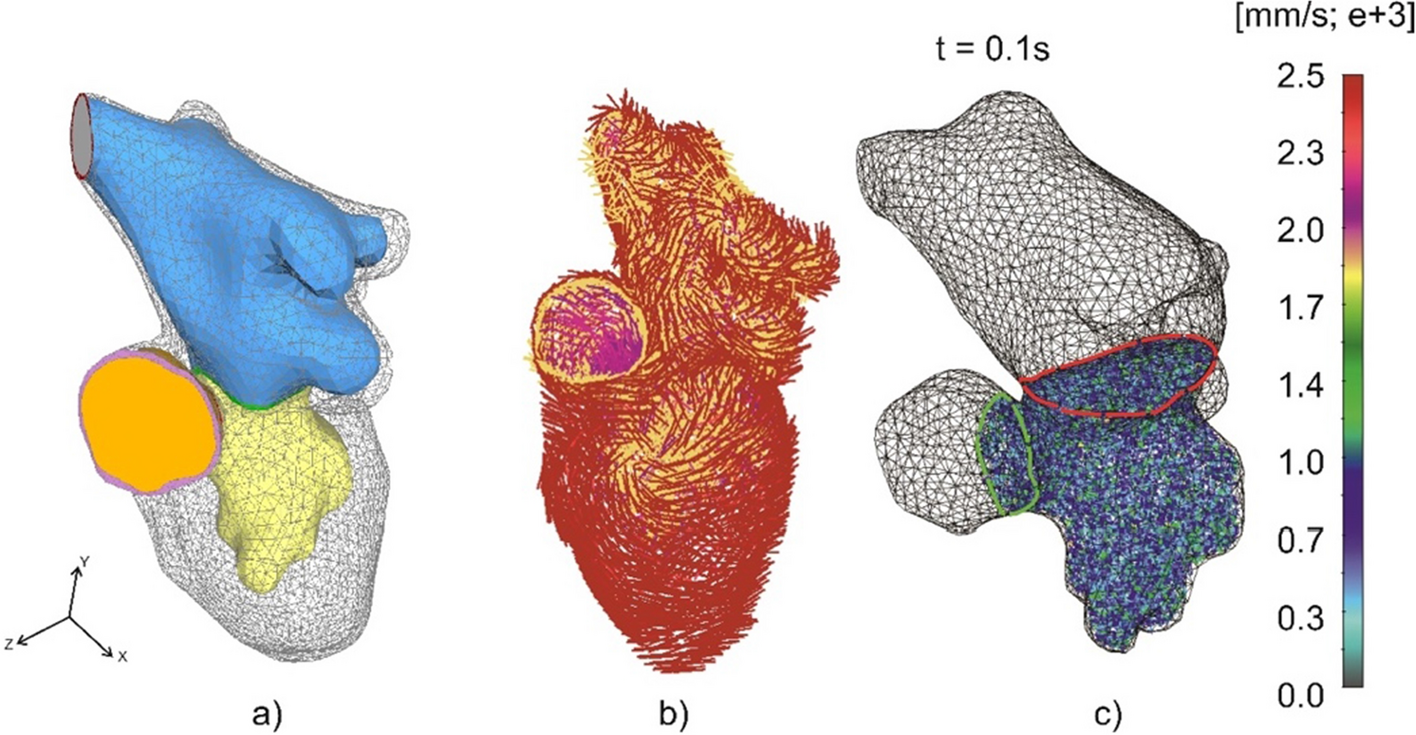 Fig. 12