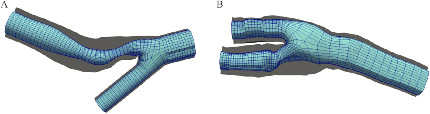 Fig. 8