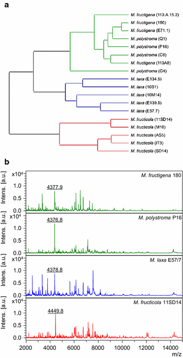 Fig. 1