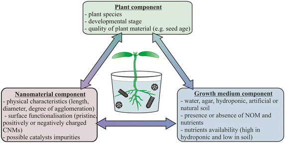 Fig. 5