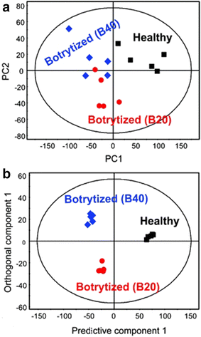 Fig. 7