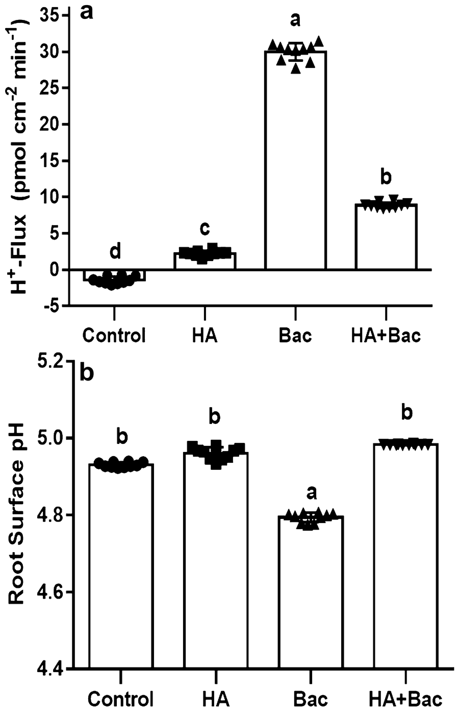 Fig. 4