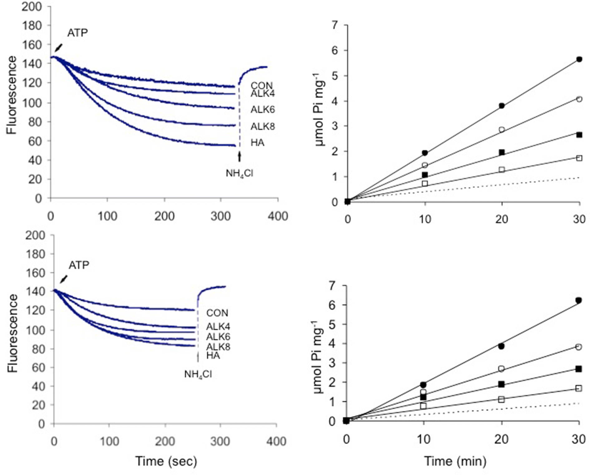 Fig. 7