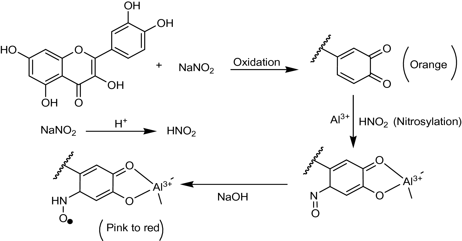 Scheme 1.