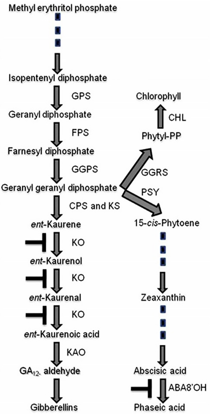 Fig. 2