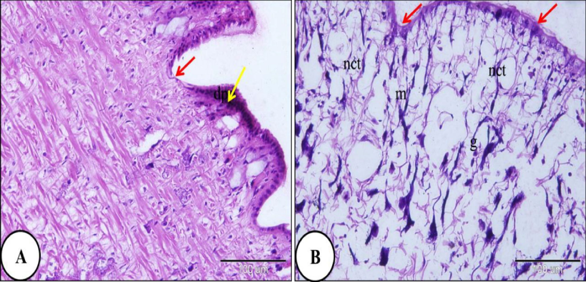 Fig. 9