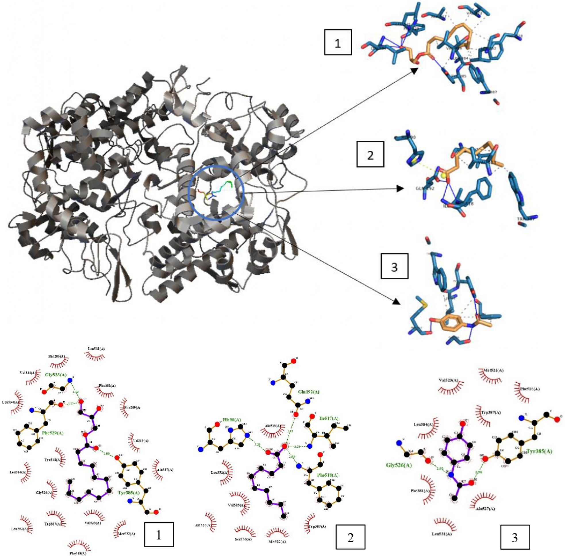 Fig. 4