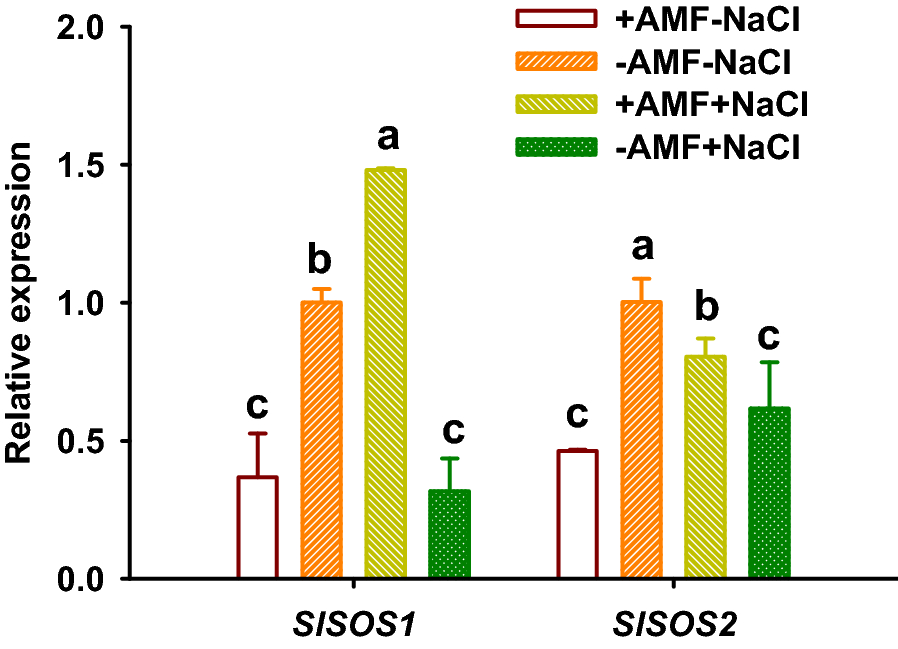 Fig. 6