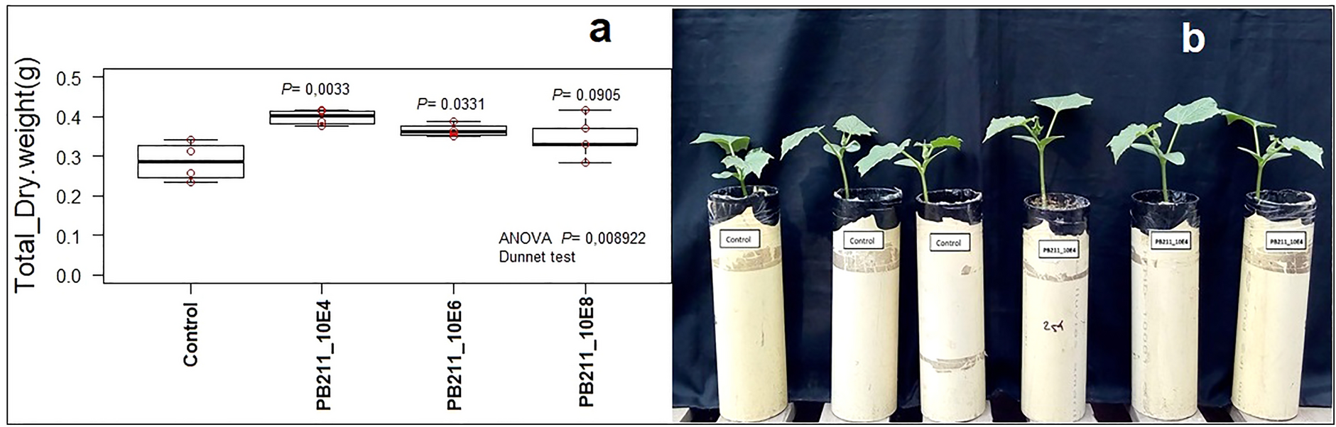 Fig. 6