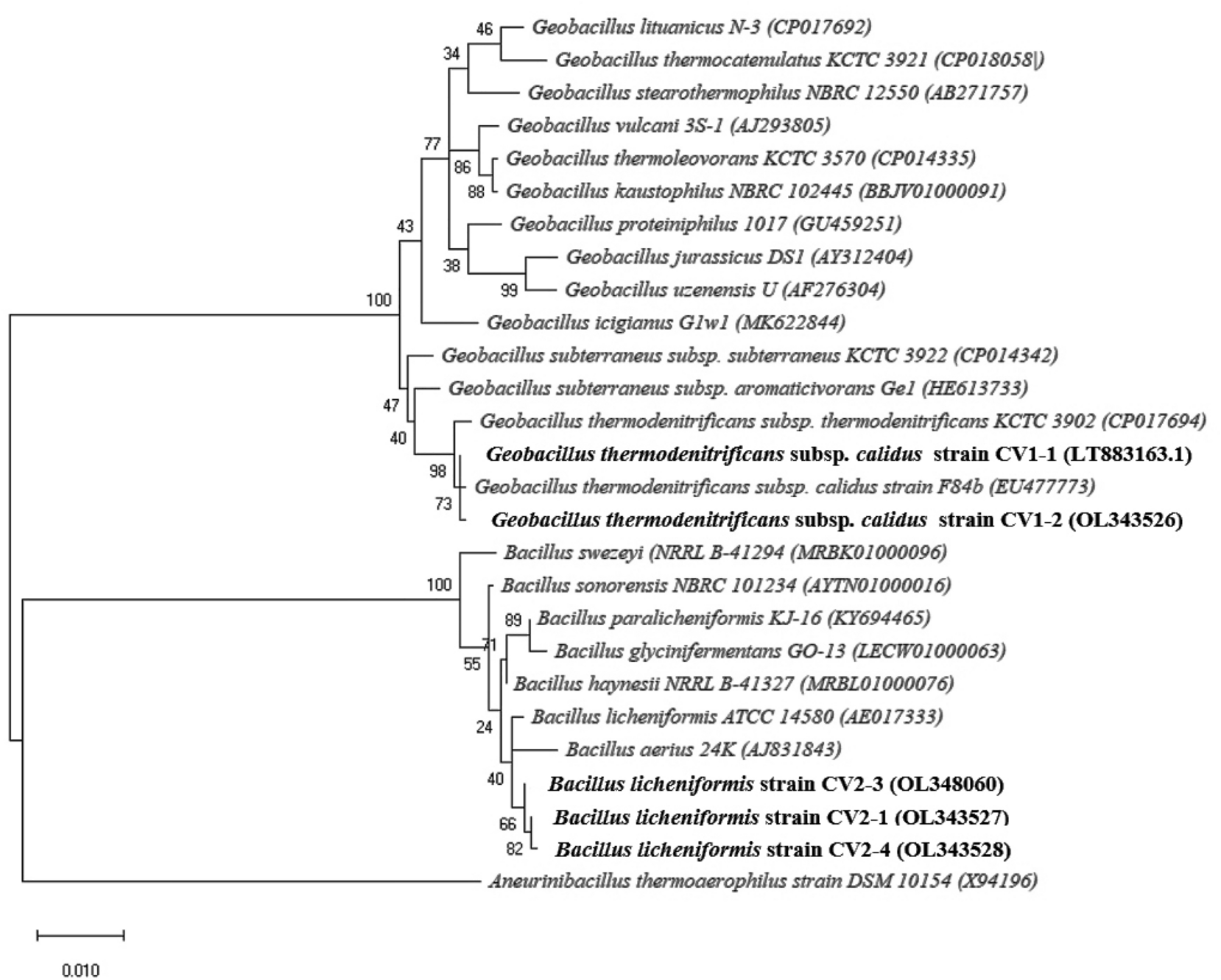 Fig. 3