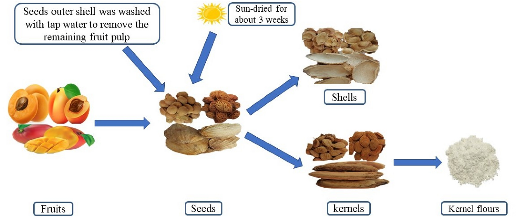 Fig.1