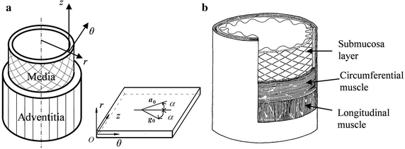 Fig. 1