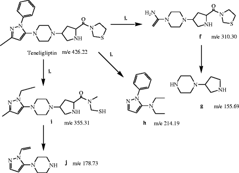 Fig. 10