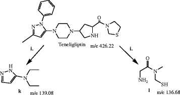 Fig. 11