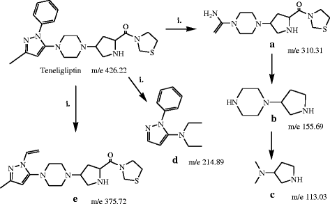 Fig. 12