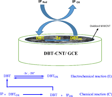 Scheme 2