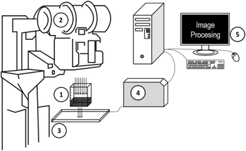 Fig. 5