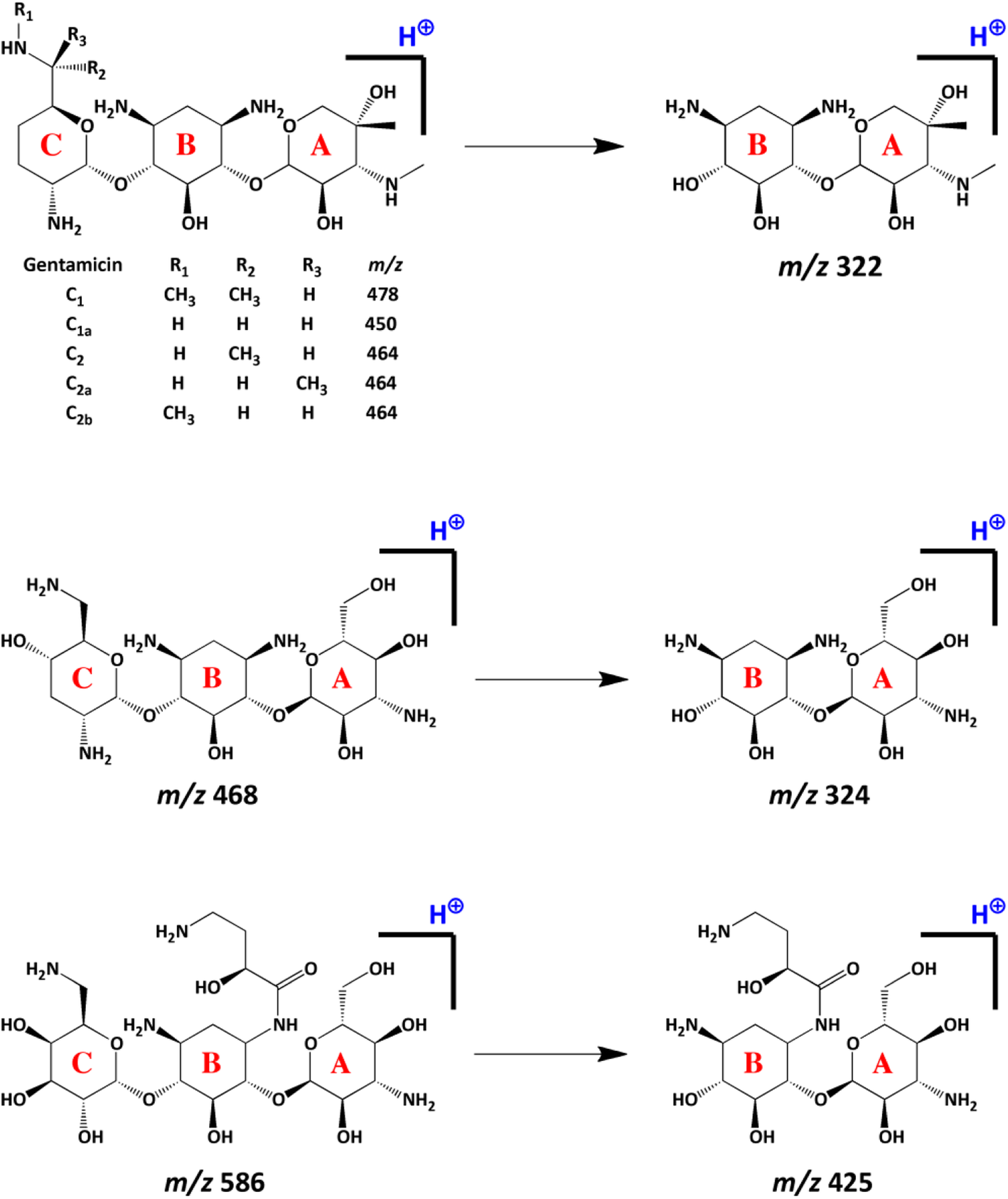 Scheme 2