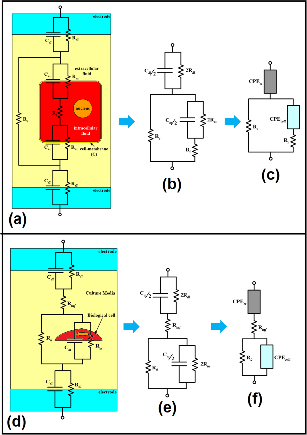 Fig. 5