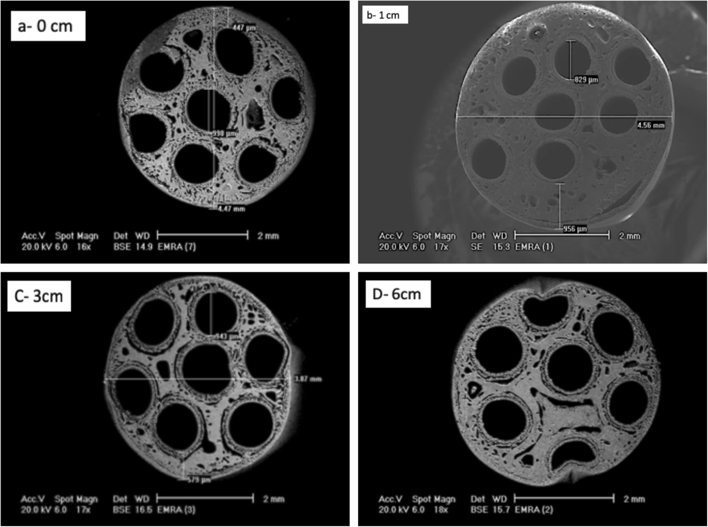 Fig. 13