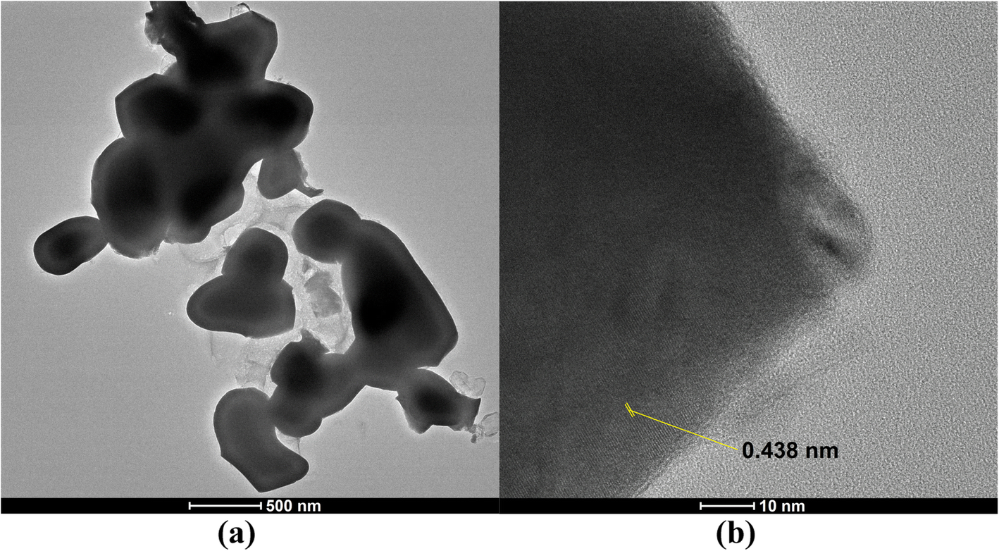 Fig. 10