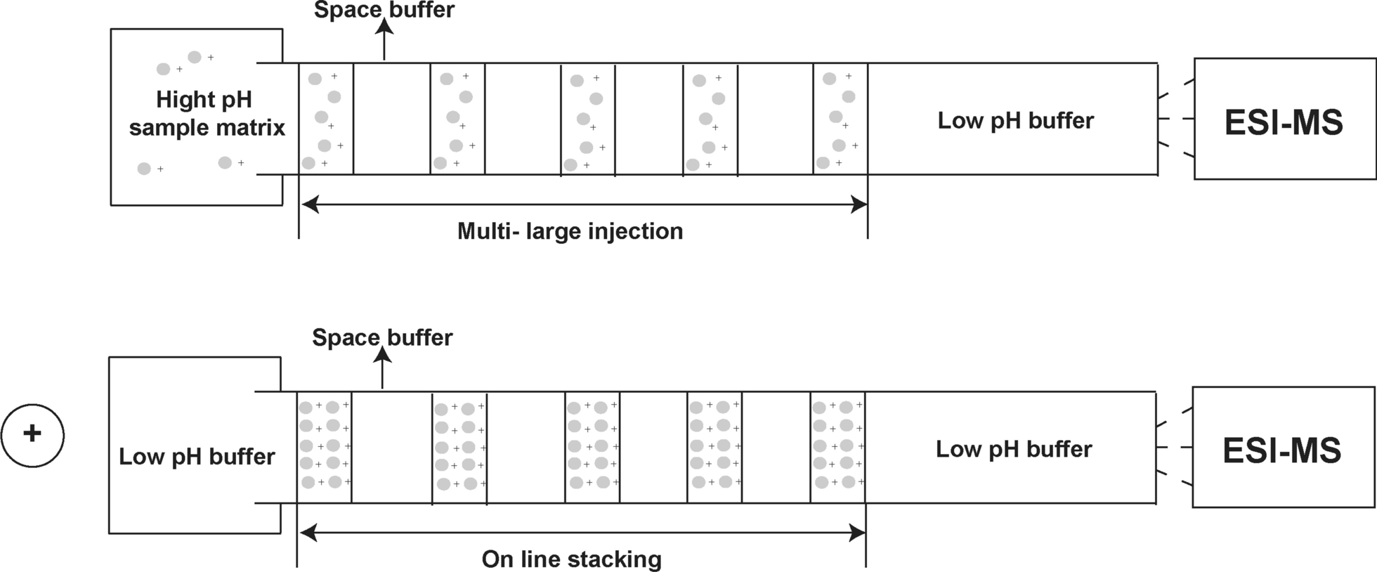 Fig.1